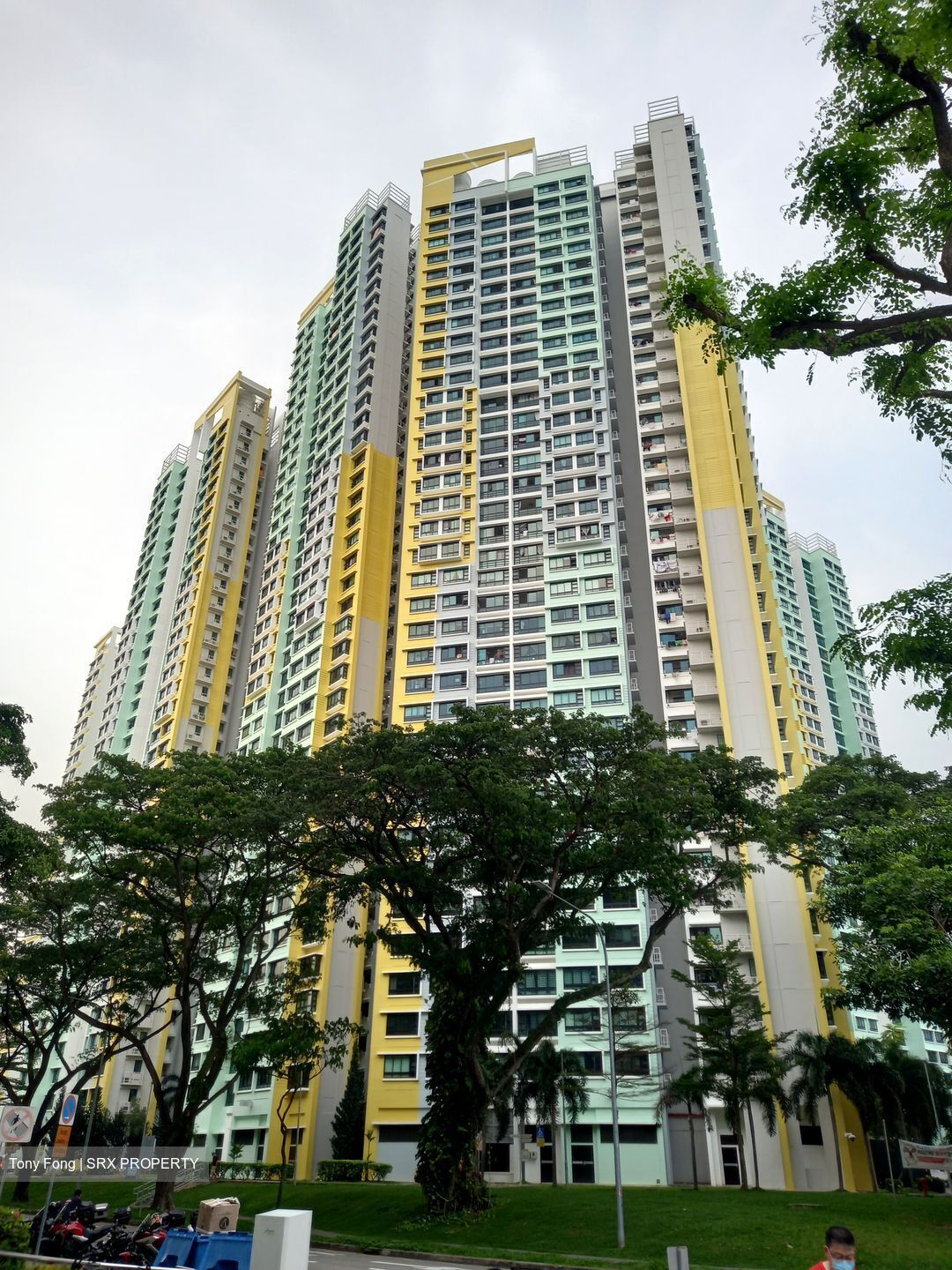 Blk 53 Havelock View (Bukit Merah), HDB 4 Rooms #335158451